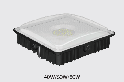 LED Canopy Light